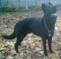 IMG00020200912021158Benjiexsm.jpg