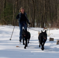 feb2007dualskijoringxsm.jpg