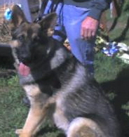 img035Gump.JPG
