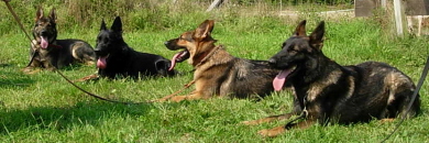 training2006020xsm.jpg